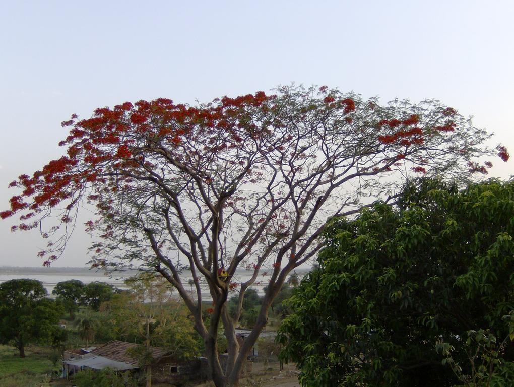Jheelam Homestay بوبال المظهر الخارجي الصورة