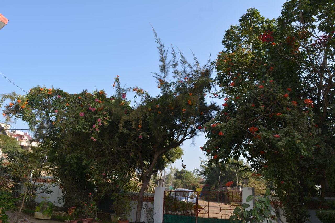 Jheelam Homestay بوبال المظهر الخارجي الصورة